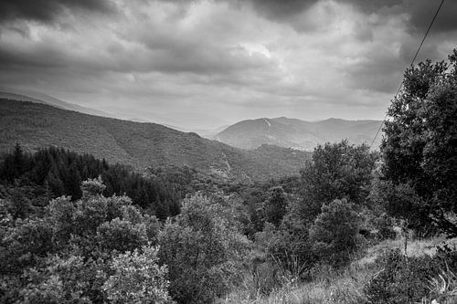 Silence