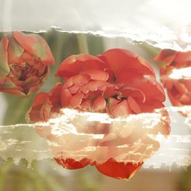 Bloemen in wolken, double exposure van Cora Unk