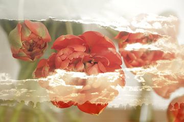 Bloemen in wolken, double exposure van Cora Unk