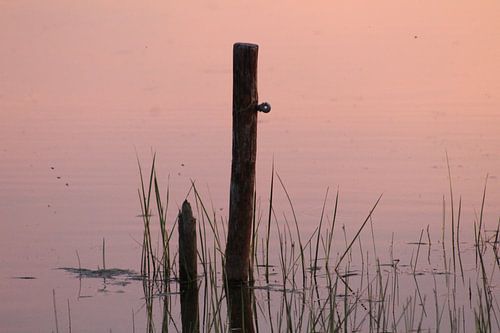 Wie ein Fels in der Brandung!