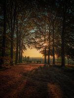 Viewpoint Kwintelooijen Rhenen