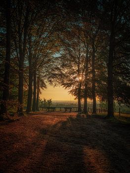 Standpunkt Kwintelooijen Rhenen
