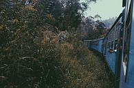 Train Sri Lanka Ella - Kandy by yasmin thumbnail
