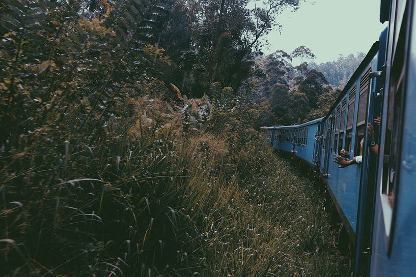 Train Sri Lanka Ella - Kandy by yasmin