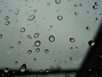 Raindrops