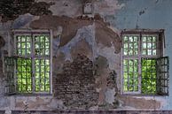 Old windows by Maikel Brands thumbnail