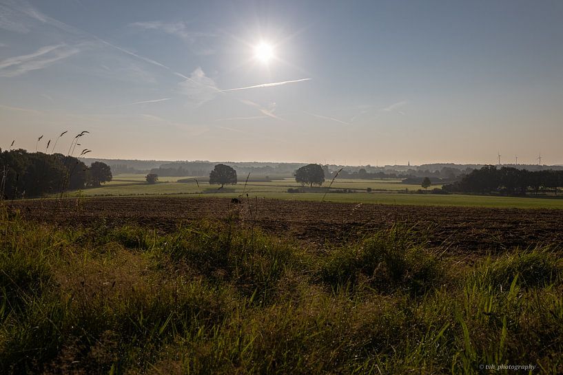 Rising sun by Tom van Huet