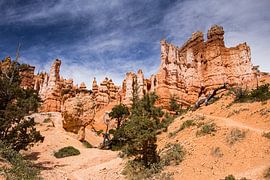 Bryce Canyon National Park by Marlies van Zetten