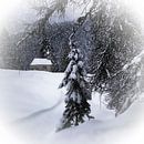 Wintermärchen HEMMERSUPPENALM XI von Melanie Viola Miniaturansicht