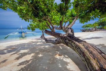 Paradise by Bram de Jong