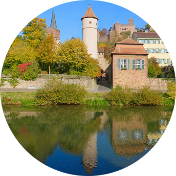 Wertheim am Ufer der Tauber