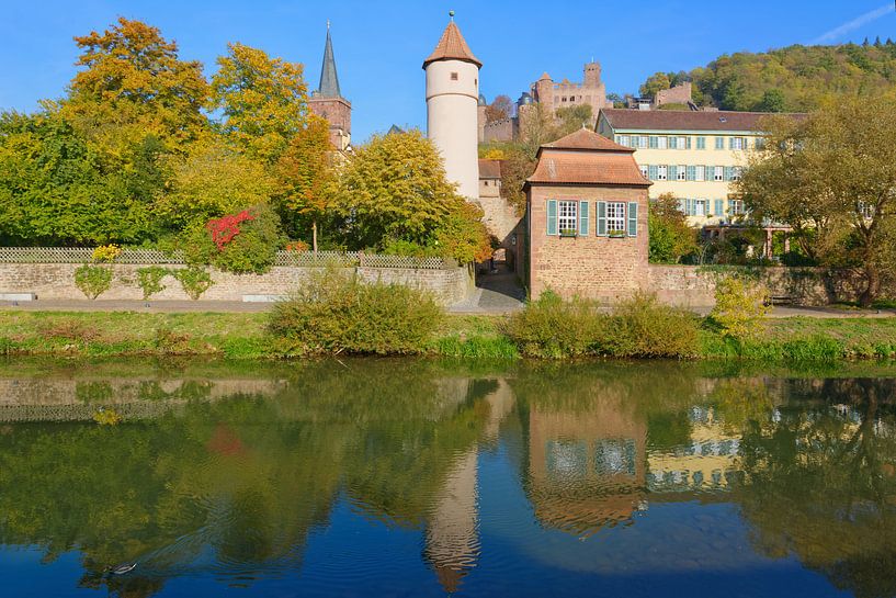 Wertheim am Ufer der Tauber von Gisela Scheffbuch