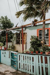 Kleurrijk huis vol planten in Willemstad | Curaçao, Caribisch gebied van Trix Leeflang