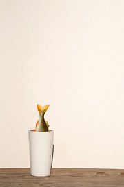 Fish vase by Stephan Schulz