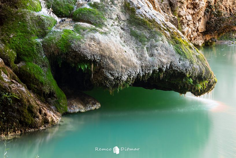 Schöne Natur in Valencia von Remco Ditmar