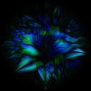 Flower of light. Abstract Geometric Fireworks. Blue star. by Dina Dankers thumbnail