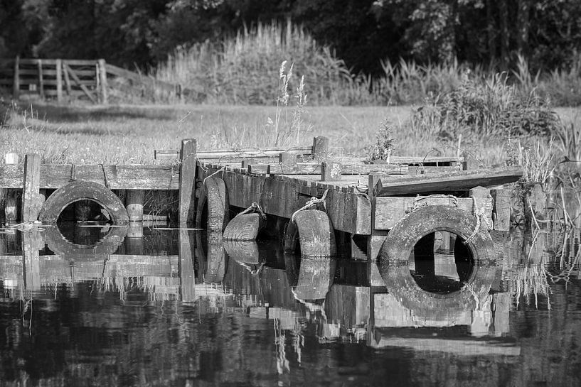 Jetti on wheels in black and white by R Smallenbroek