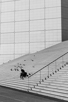 Treppe von Warre Dierickx