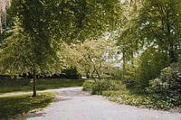Groen oranjepark in Nunspeet