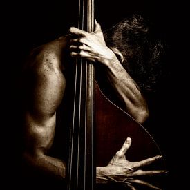 photo poster or wall decoration double bass by Edwin Hunter