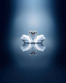 Aesthetic minimalism