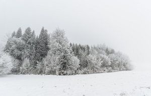 Winter bomen omgeven door sneeuw van Gea Gaetani d'Aragona