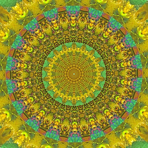 De uitstraling van de zomer