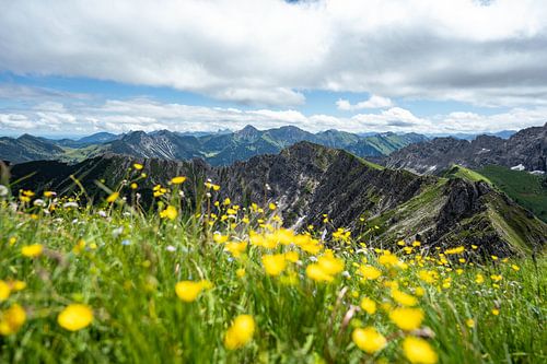 Bloemrijk uitzicht op Hinterstein en de Allgäuer Alpen