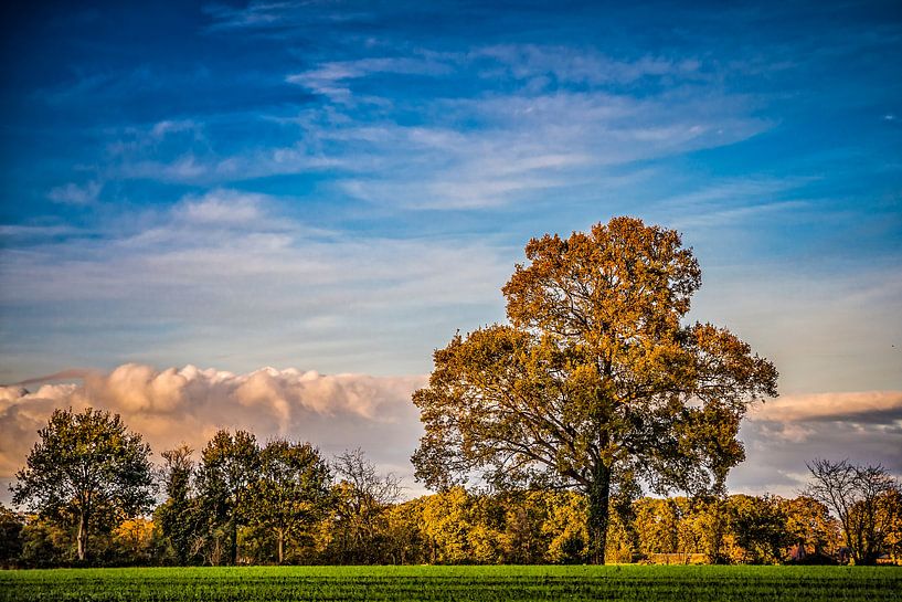 Hooidijk by Freddy Hoevers