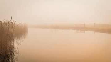 Matin brumeux dans le polder sur Marcel Koomen