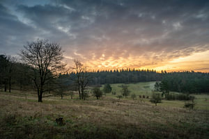 Früher Morgen auf dem Landgut Paltz