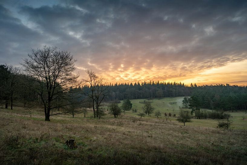 Early morning on Paltz estate by Henk Boerman