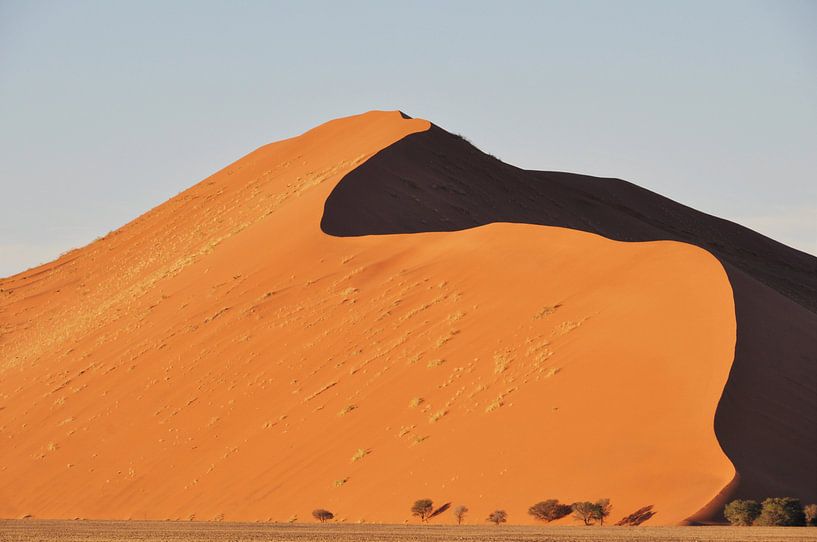 Dune 45 von Esther van der Linden