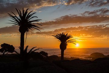 Sunset in Camps Bay by Peter Leenen
