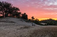 Bench In The Sand van William Mevissen thumbnail