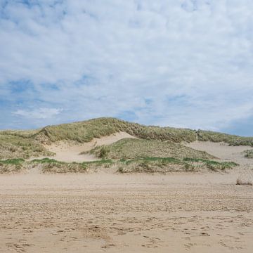 Nederlandse kust in een vierkantje: Zand, Strand en duinen van Marjolijn van den Berg