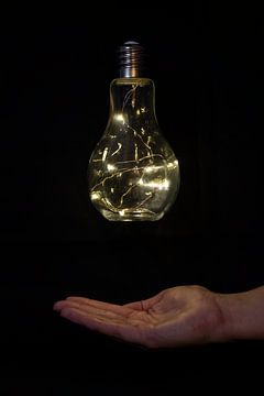 Light bulb / lightbulb by Nynke Altenburg