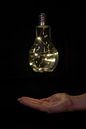 Light bulb / lightbulb by Nynke Altenburg thumbnail