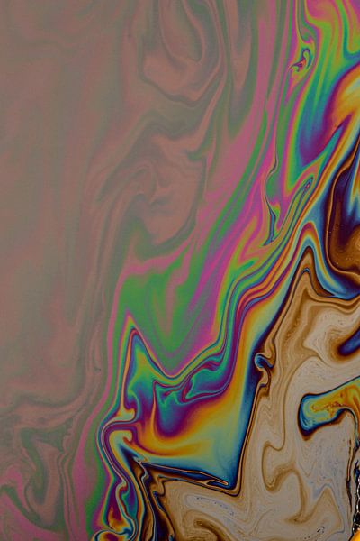 macro mousse par Monique de Koning