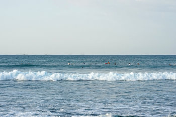 Surfers 2