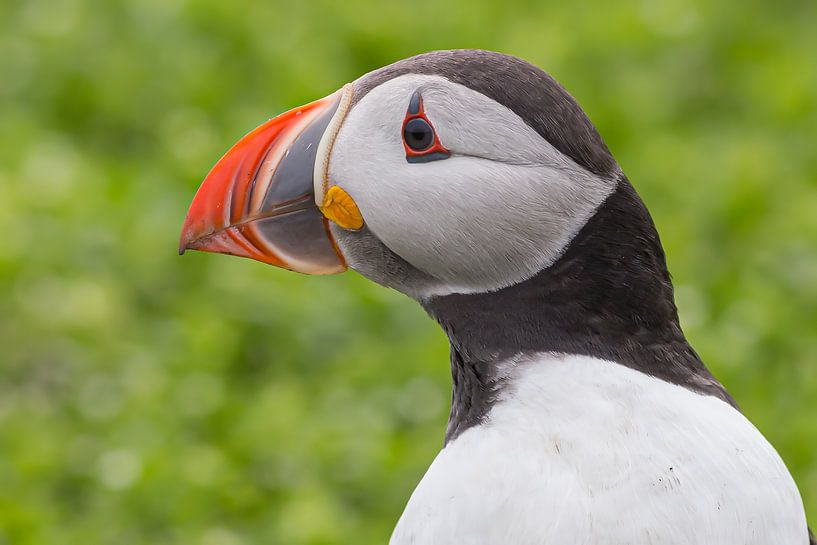 Details! by Kris Hermans