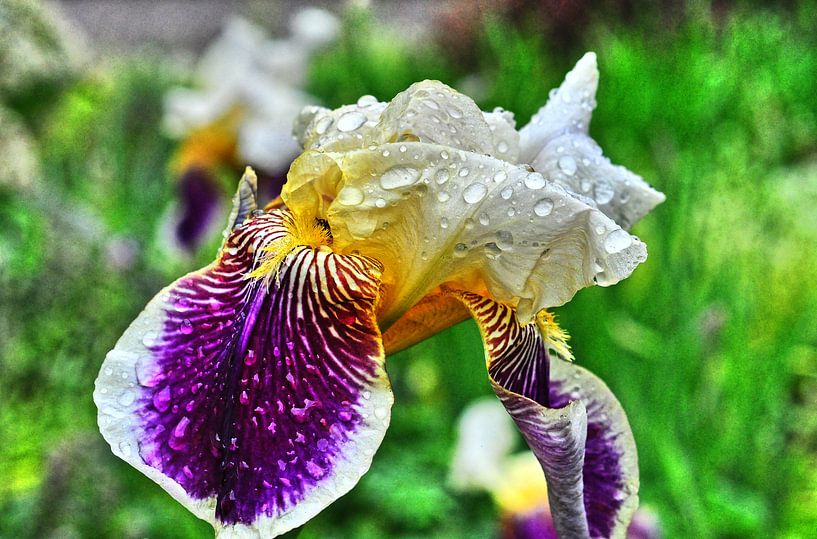 Regentropfen5 van Edgar Schermaul