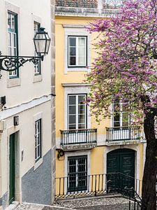 Altstadt von Lissabon