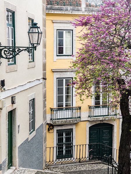 Altstadt von Lissabon von Dirk Rüter