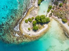 Lagoon with mangrove at Jan Thiel - Drone recording