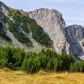 Sinanitsa dans le parc national de Pirin en Bulgarie sur Jessica Lokker