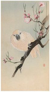 Ohara Koson - Papagei und Pfirsichblüten (bearbeitet)