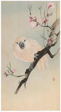 Ohara Koson - Parrot and peach blossoms (edited) by Peter Balan