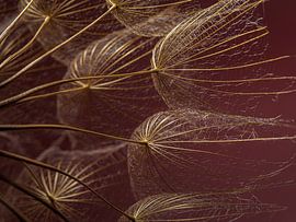 Goud in het warme licht: Natuurlijk chique van Marjolijn van den Berg