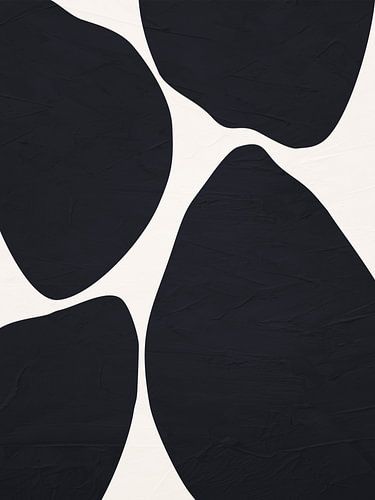 Art abstrait organique - tons noir et blanc